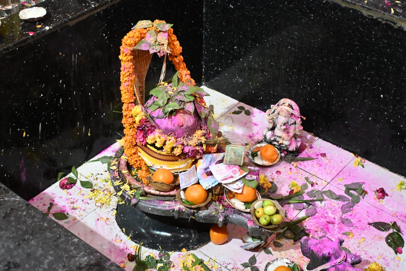 दिनांक 15 फरवरी 2026 - श्रीमहाशिवरात्रि पर्व पर आयुष ग्राम( ट्रस्ट) में रात्रि जागरण और चार प्रहर पूजन!