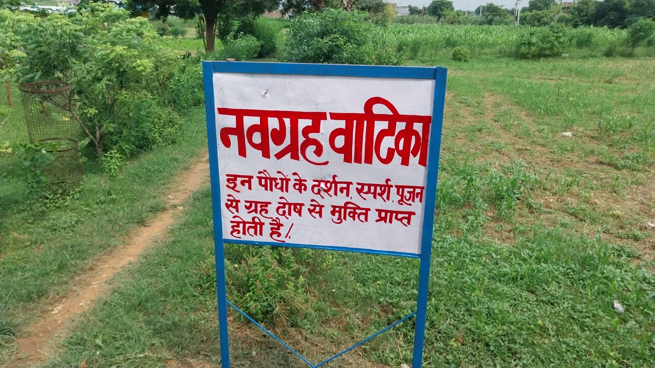 19 सितम्बर, 2025 - आयुष ग्राम में नवग्रह वाटिका की स्थापना एवं नुक्कड़ नाटक  "आयुर्वेदोऽमृतानाम्"